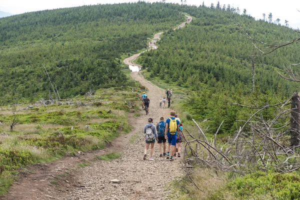 Skrzyczne Polen Juli 2020 Vandring Längs Bergsled Schlesiska Beskids Polen — Stockfoto