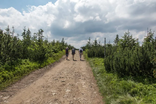 Vandring Längs Bergsled Schlesiska Beskids Polen Nära Skrzyczne Toppen — Stockfoto