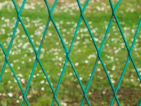 Rabitz Expanded Metal Mesh Fence Lawn Background — Stock Photo, Image