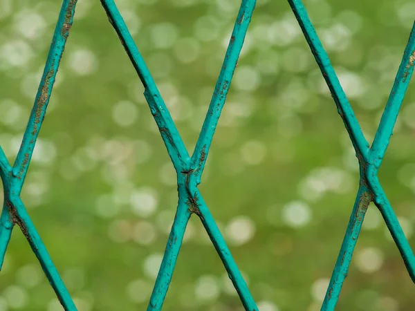 Rabitz Expanded Metal Mesh Fence Lawn Background — Stock Photo, Image