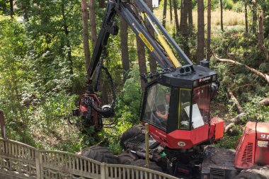 Kalety, Polonya, 1 Ağustos 2020: Ormandaki ağaçlar arasında yapılan bir iş sırasında orman hasatçısı