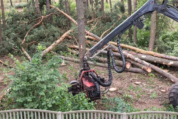 Abatteuse Forestière Pendant Emploi Parmi Les Arbres Dans Forêt — Photo