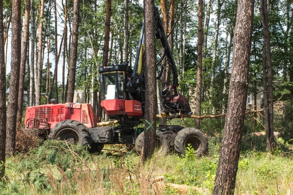 Kombajn Leśny Podczas Pracy Wśród Drzew Lesie — Zdjęcie stockowe