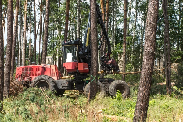 Bosbouwoogstmachine Tijdens Een Klus Tussen Bomen Het Bos — Stockfoto