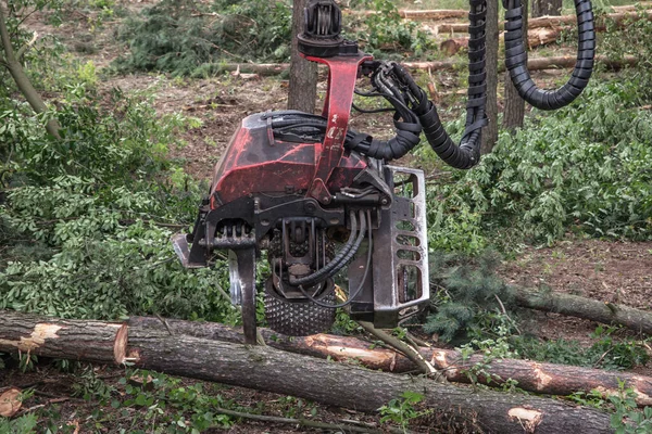 Bosbouwoogstmachine Tijdens Een Klus Tussen Bomen Het Bos — Stockfoto