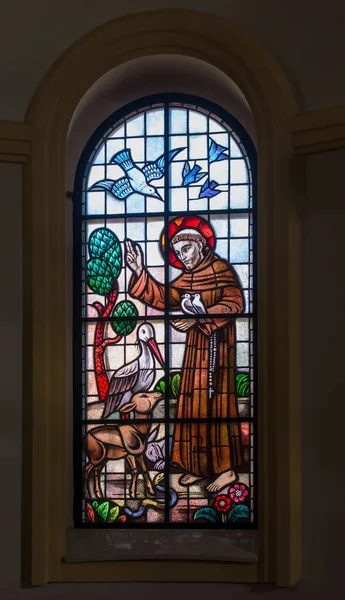 Kalety Miotek Poland 2020 Stained Glass Window Francis Assisi Miotek — 스톡 사진