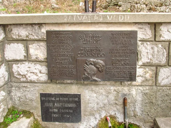 2012年3月29日セルビア ゴルバツ 英語版 1428年にトルコ人によって殺害されたポーランドの有名な騎士ザヴィッツァ チャルニー 英語版 の記念碑がある城の遺跡 — ストック写真