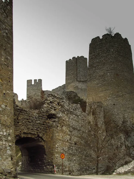 塔とドナウ川のセルビアのゴルバツ城の遺跡 — ストック写真