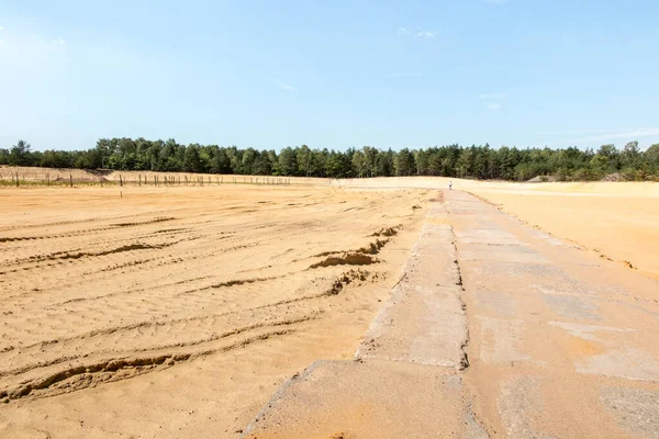 partial afforestation of the former sand mine, planted with pine seedlings, in the background a zinc and lead smelter