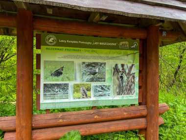 Polanki, Polonya, 23 Mayıs 2025: Polonya 'daki Bieszczady Dağları' ndaki Sinüs Penceresi.