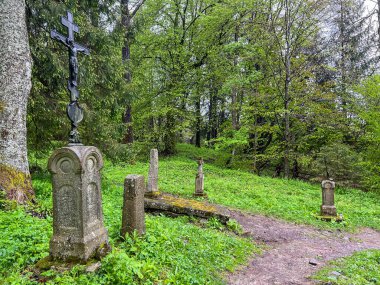 Eski Yunan Katolik mezarlığı ve Brzegi Gorne 'daki eski Ortodoks kilisesinin bulunduğu yer olan Bieszczady Dağları' nda, Beskid patikasının üzerinde, yağmurlu havalarda, kırmızı işaretlerle işaretlenmiş..