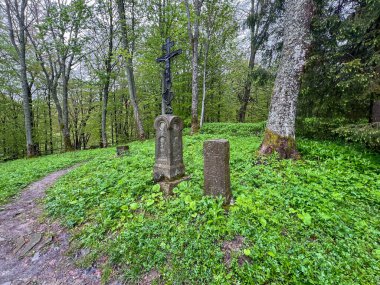 Eski Yunan Katolik mezarlığı ve Brzegi Gorne 'daki eski Ortodoks kilisesinin bulunduğu yer olan Bieszczady Dağları' nda, Beskid patikasının üzerinde, yağmurlu havalarda, kırmızı işaretlerle işaretlenmiş..