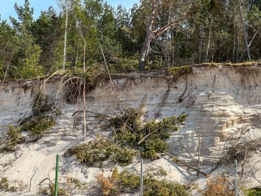 Polonya 'nın Rogowo şehrinde Baltık Denizi' nde bir plaj. Denizin kıyı şeridindeki karaya yıkıcı etkisi..
