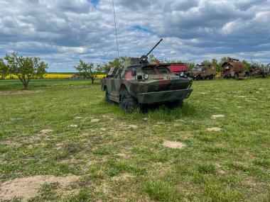 Polonya 'nın Tuchola kenti yakınlarındaki Zalno' daki 