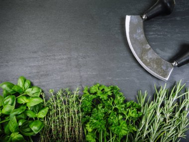 Fesleğen, biberiye, kekik, maydanoz ve ot kesici arduvaz arka plan üzerinde fotoğraf