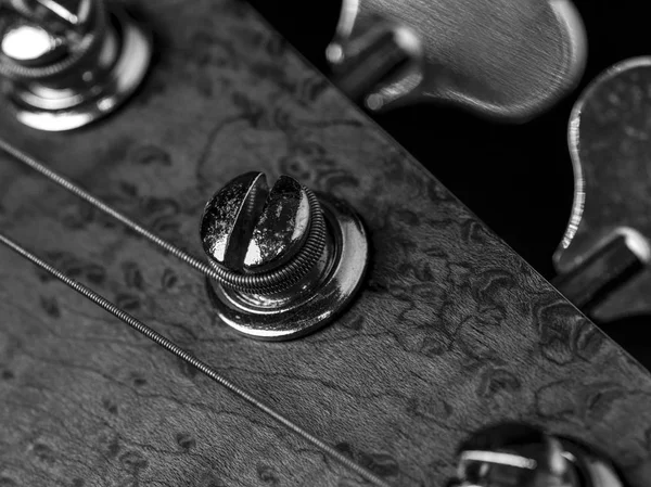 Fekete Fehér Fotó Egy Basszus Gitár Headstock Tuning Pegs — Stock Fotó