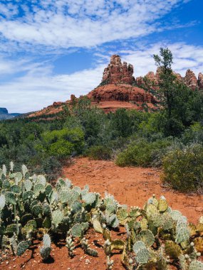 Snoopy rock Sedona içinde