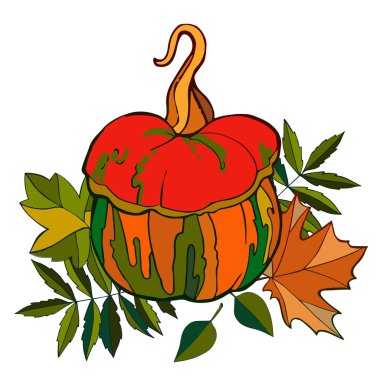 Cadılar Bayramı parlak kabak seti