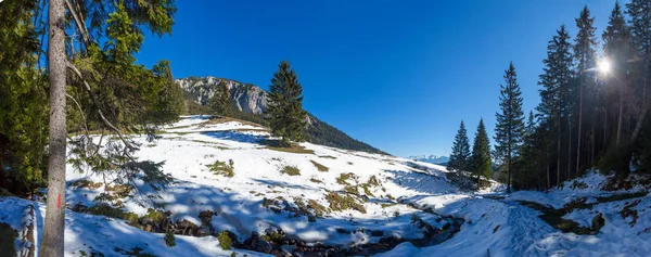 Panoramautsikt Över Montera Piatra Craiului Vintern Del Bergskedjan Karpaterna Från — Stockfoto