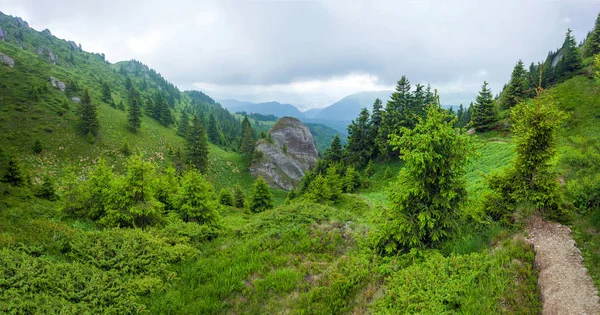 Panoramic View Mount Ciucas Summer Part Carpathian Range Romania — Stock Photo, Image