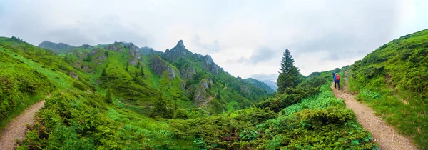 Wandelaars Naar Mount Ciucas Peack Zomer Deel Van Karpaten Variëren — Stockfoto
