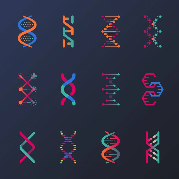 Set of isolated dna helix or spirals, cell — Stock Vector