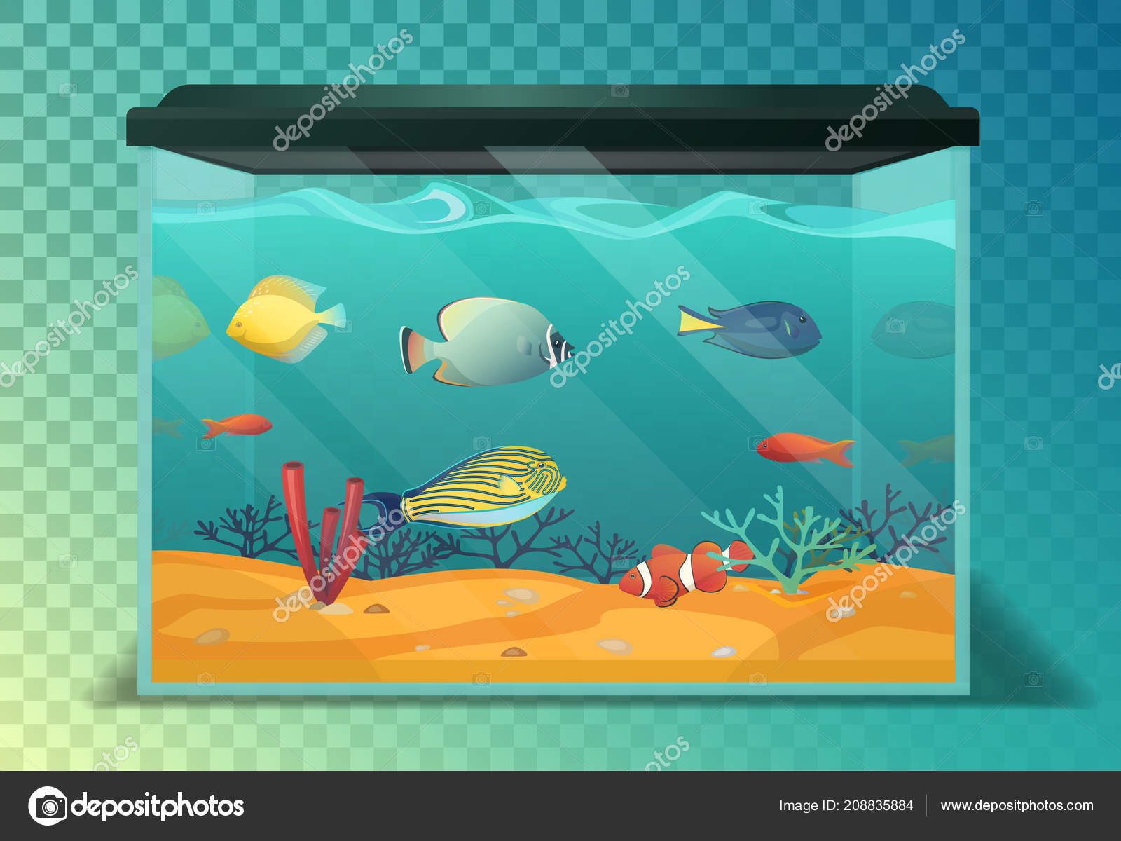 Aquaria imágenes de stock de arte vectorial | Depositphotos Aquaria imágenes de stock de arte vectorial | Depositphotos