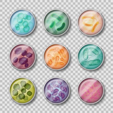 Petri dish ile virüs, bakteri koloni ile plaka