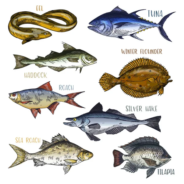 Letreros de trofeos con peces de mar y río — Vector de stock