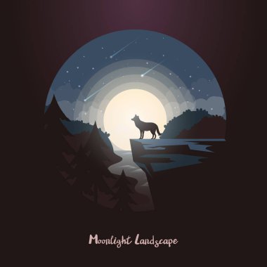 Kurt hayvan kaya ya da gece orman cliff üzerinde.