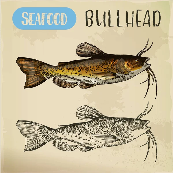Schizzo di bullhead o pesce scultura — Vettoriale Stock