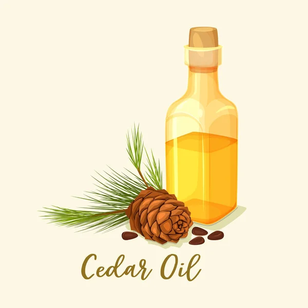 Glas flaska med cederträ olja och pine cone — Stock vektor