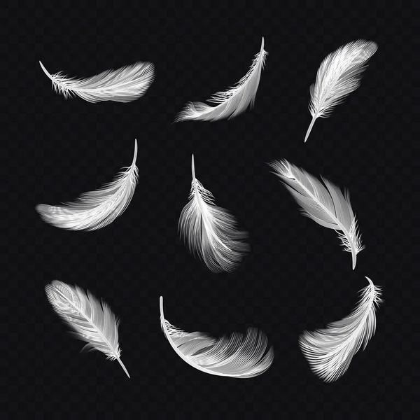 Zestaw wyizolowanego białego ptaka piórka na przezroczystym — Wektor stockowy