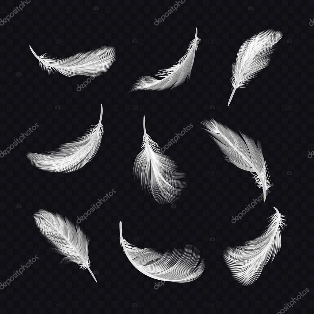 Set of isolated white lightweight feather on transparent, realistic falling bird fluff. Angel or goose, dove and swan twirled fur. Collection of soft fur, quill symbol. Icons for nature.