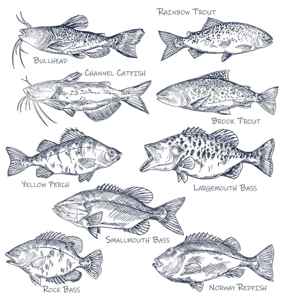 Desenhe ícones de frutos do mar ou peixes de água. Pesca —  Vetores de Stock