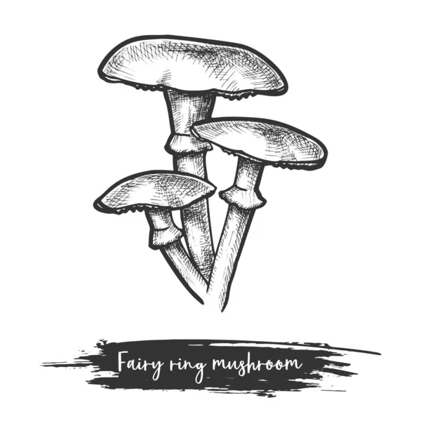 Sketch of forest or wood mushroom in fairy ring — Stock Vector