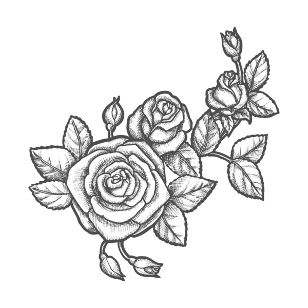 有玫瑰花的纹身。植物素描. — 图库矢量图片