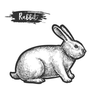 El çizimi tavşan ya da tavşan çizimi, tavşan.