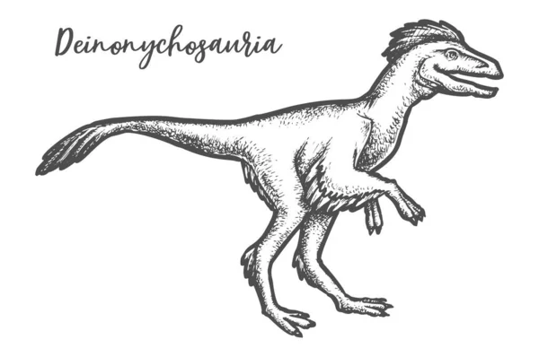 Эскиз динозавра дейнонихозавра. Векторная иллюстрация Дино — стоковый вектор