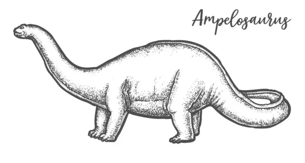 Esboço Ampelosaurus dino ou vetor de dinossauro Sauropod — Vetor de Stock