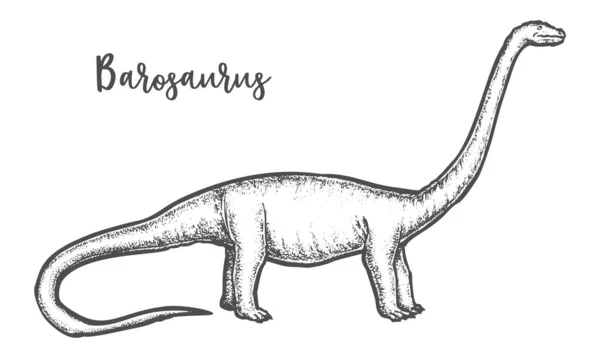바르코 사우루스 스케치 또는 조각된 디 플로 도루스 공룡 벡터 — 스톡 벡터