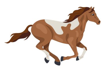 Amerikan boyalı at manzaralı. Vektör koşan hayvan veya at hareketi. APHA binicisi dörtnala ya da yürüyerek. Toynaklı ve yeleli bir memeli. Karabasan ya da mustang, aygır hareketi ikonu. Spor damızlık amblemi.