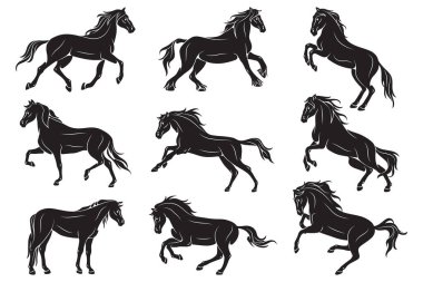 At hareketi ya da koşan, ayakta duran hayvan seti. Memeli dörtnala hareketinin vektör silueti. Aygır ve kısrak yürüyüşü. Damızlık kısrak ve Mustang yan görünümü. Özgürlük, vahşi yaşam unsuru. Binicilik sporu simgesi.