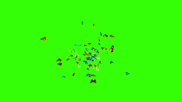 Mariposas vuelan a la cámara sobre un fondo verde — Vídeo de stock