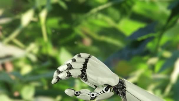 Morpho Menelaus Butterfly Lands on the Robots Hand. Animação 3D bonita, 4K. ver mais opções no meu portfólio — Vídeo de Stock