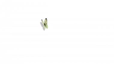 Mavi bir arka plan üzerinde uçan beyaz kelebek lahana. Güzel 3d animasyon. 4k