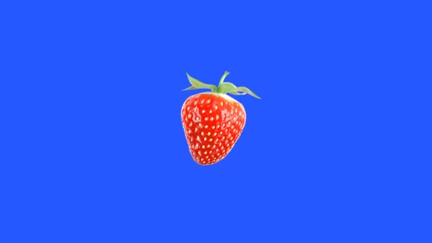 Erdbeere fällt auf blauem Bildschirm in den Milchstrahl — Stockvideo