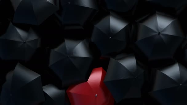 Parapluie rouge glisse à travers le flux de parapluies noirs — Video