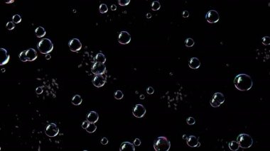 Büyüyen Sabun Baloncukları Kara Arkaplanda Patlıyor. Güzel Kusursuz Döngülü 3D Animasyon Ultra HD 4K 3840x2160