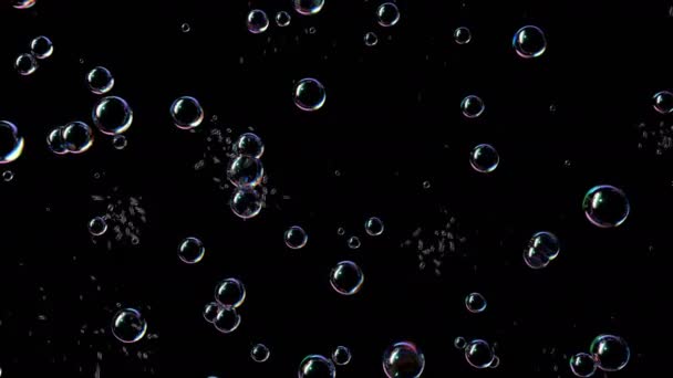 Burbujas de jabón en crecimiento estallan sobre un fondo negro. Hermosa animación 3d sin costuras Ultra HD 4K 3840x2160 — Vídeos de Stock